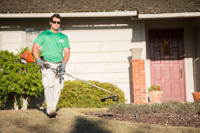 starting a landscaping business from scratch